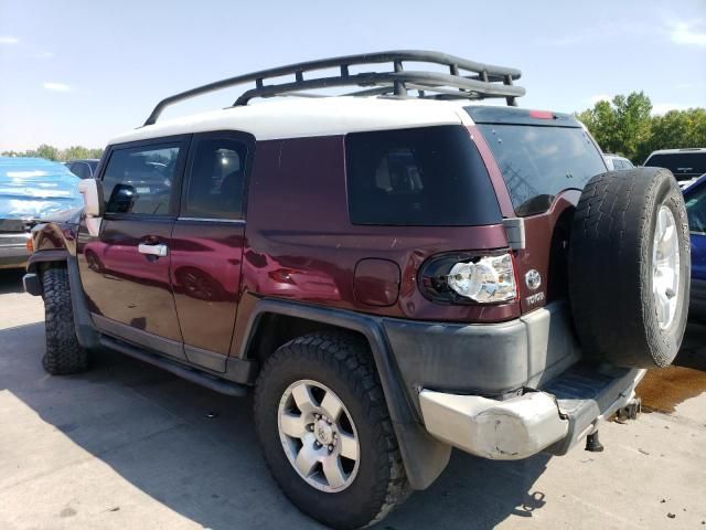 2007 Toyota FJ Cruiser