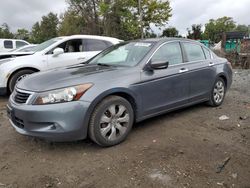 Honda Accord salvage cars for sale: 2009 Honda Accord EXL