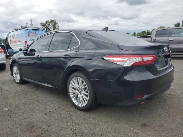 2019 Toyota Camry Hybrid