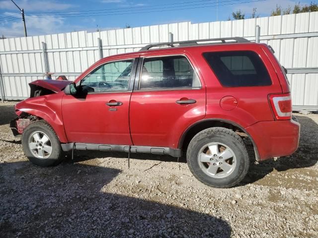 2011 Ford Escape XLT