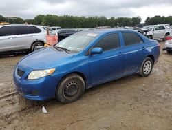 Toyota salvage cars for sale: 2010 Toyota Corolla Base