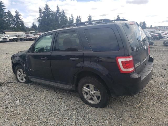 2010 Ford Escape Hybrid