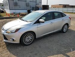 Ford Focus Titanium salvage cars for sale: 2014 Ford Focus Titanium