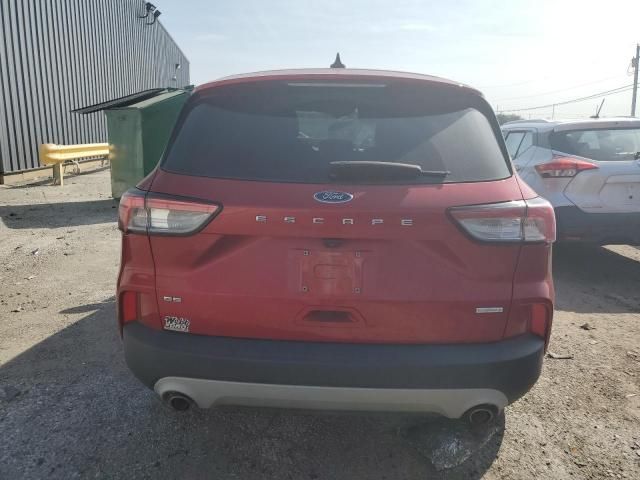 2020 Ford Escape SE