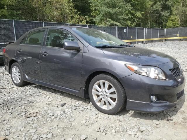 2009 Toyota Corolla Base