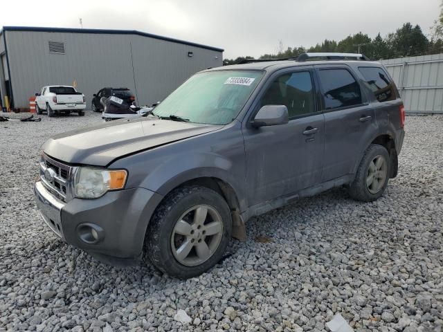 2010 Ford Escape Limited