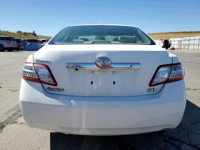 2010 Toyota Camry Hybrid