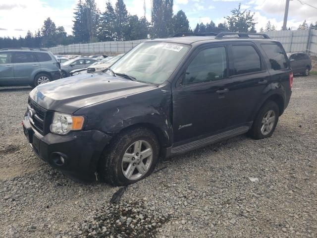 2010 Ford Escape Hybrid