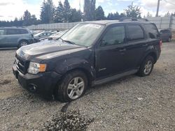 Ford Escape salvage cars for sale: 2010 Ford Escape Hybrid