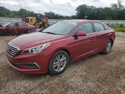 Hyundai Sonata Vehiculos salvage en venta: 2016 Hyundai Sonata SE