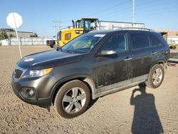 Vehiculos salvage en venta de Copart Bismarck, ND: 2013 KIA Sorento EX