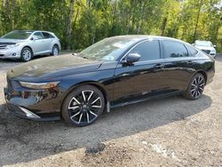 Honda Accord salvage cars for sale: 2024 Honda Accord Touring Hybrid