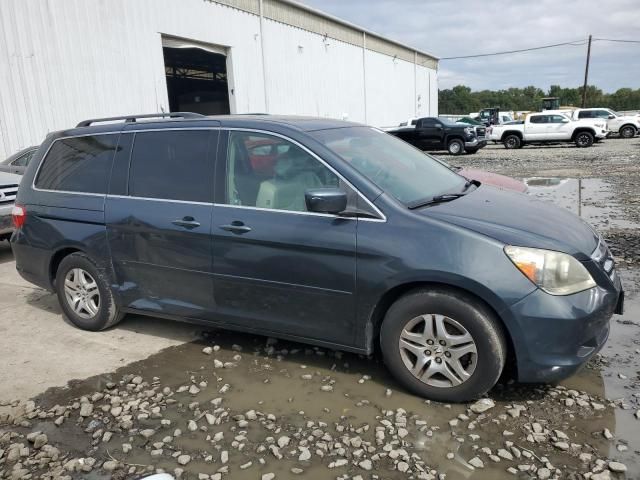 2005 Honda Odyssey EXL