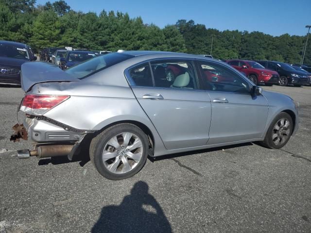 2009 Honda Accord EXL