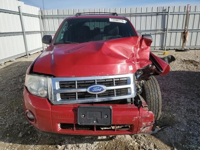 2011 Ford Escape XLT