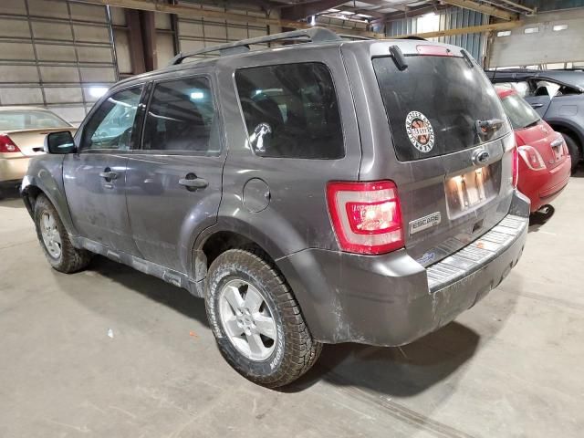 2010 Ford Escape XLT