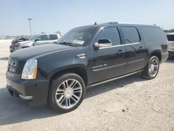 Cadillac salvage cars for sale: 2013 Cadillac Escalade ESV Premium