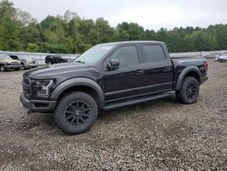 Salvage cars for sale from Copart Lufkin, TX: 2017 Ford F150 Raptor