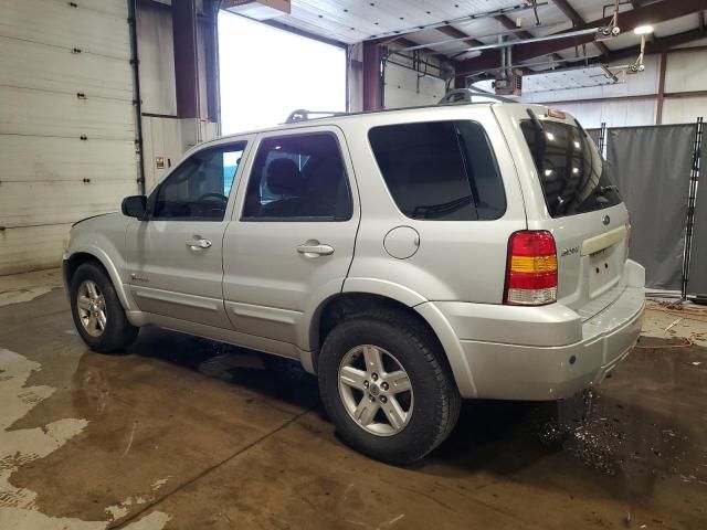 2006 Ford Escape HEV