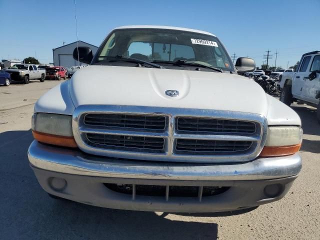 2004 Dodge Dakota Quad SLT