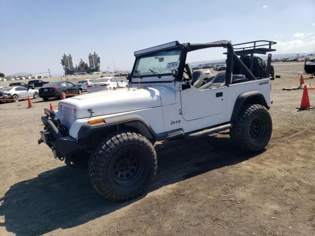 1991 Jeep Wrangler / YJ