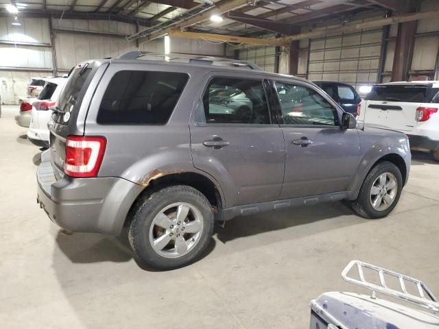 2010 Ford Escape Limited