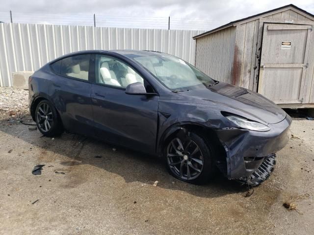 2020 Tesla Model Y