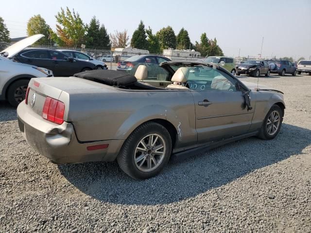 2005 Ford Mustang