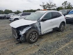 Ford Escape salvage cars for sale: 2022 Ford Escape SE