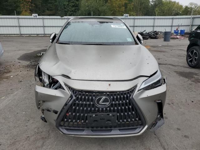 2023 Lexus NX 350