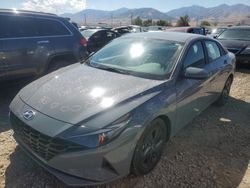 Hyundai Elantra salvage cars for sale: 2022 Hyundai Elantra SEL