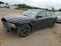 Dodge Charger salvage cars for sale: 2013 Dodge Charger SE