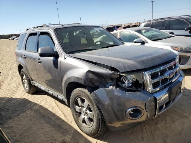 2010 Ford Escape Limited