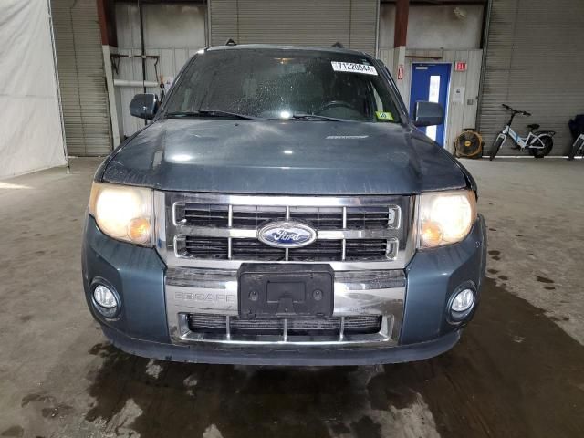 2011 Ford Escape Limited