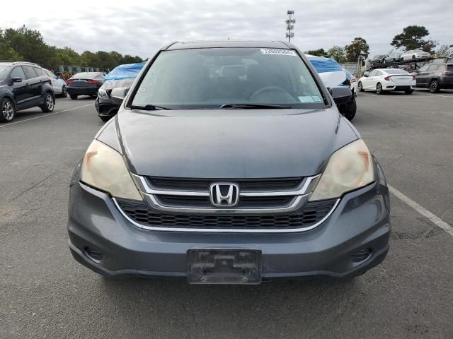 2010 Honda CR-V EXL