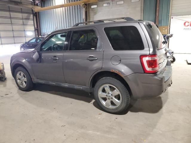 2010 Ford Escape Limited