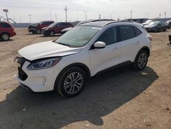 Ford Escape salvage cars for sale: 2022 Ford Escape SEL