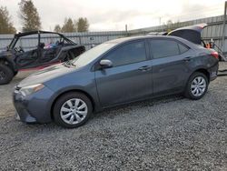 Toyota Corolla Vehiculos salvage en venta: 2016 Toyota Corolla L