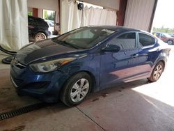 Hyundai Elantra salvage cars for sale: 2016 Hyundai Elantra SE