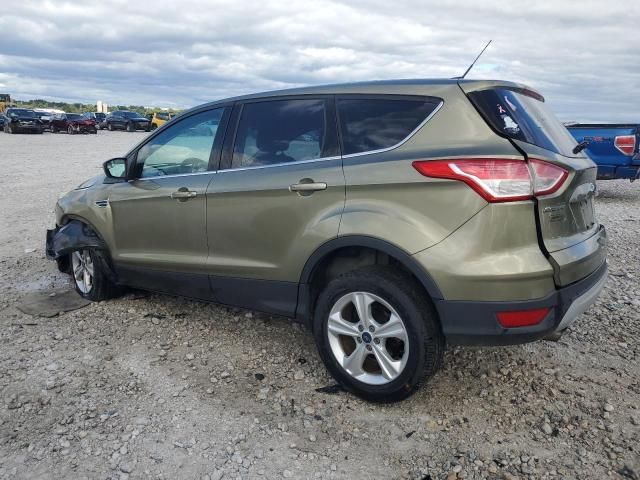 2013 Ford Escape SE