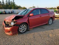 Toyota salvage cars for sale: 2010 Toyota Corolla Base