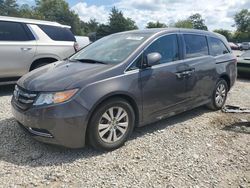 Honda Odyssey ex salvage cars for sale: 2016 Honda Odyssey EX