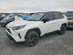 Toyota rav4 salvage cars for sale: 2020 Toyota Rav4 XSE