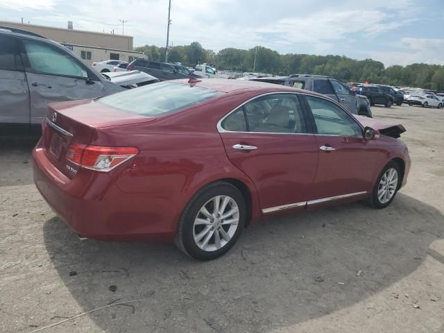 2011 Lexus ES 350