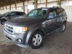 Ford Escape salvage cars for sale: 2012 Ford Escape XLT