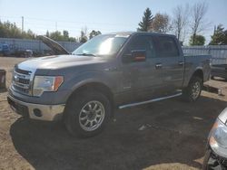 Salvage cars for sale from Copart Bowmanville, ON: 2013 Ford F150 Supercrew