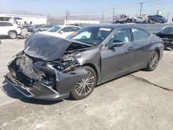 Lexus es300 salvage cars for sale: 2024 Lexus ES 300H Base