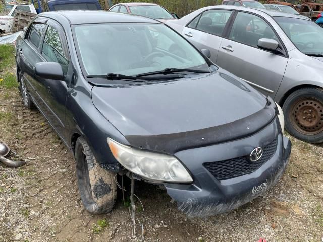 2009 Toyota Corolla Base