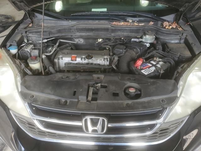 2010 Honda CR-V EXL