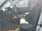2023 Toyota Tacoma Access Cab
